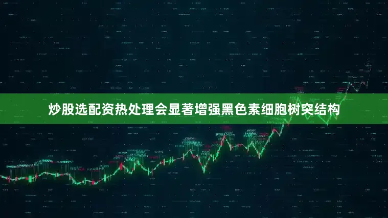 炒股选配资热处理会显著增强黑色素细胞树突结构