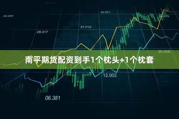 南平期货配资到手1个枕头+1个枕套