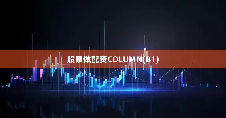 股票做配资COLUMN(B1)