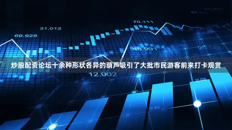 炒股配资论坛十余种形状各异的葫芦吸引了大批市民游客前来打卡观赏
