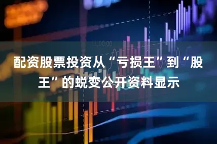 配资股票投资从“亏损王”到“股王”的蜕变公开资料显示