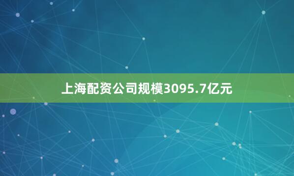 上海配资公司规模3095.7亿元